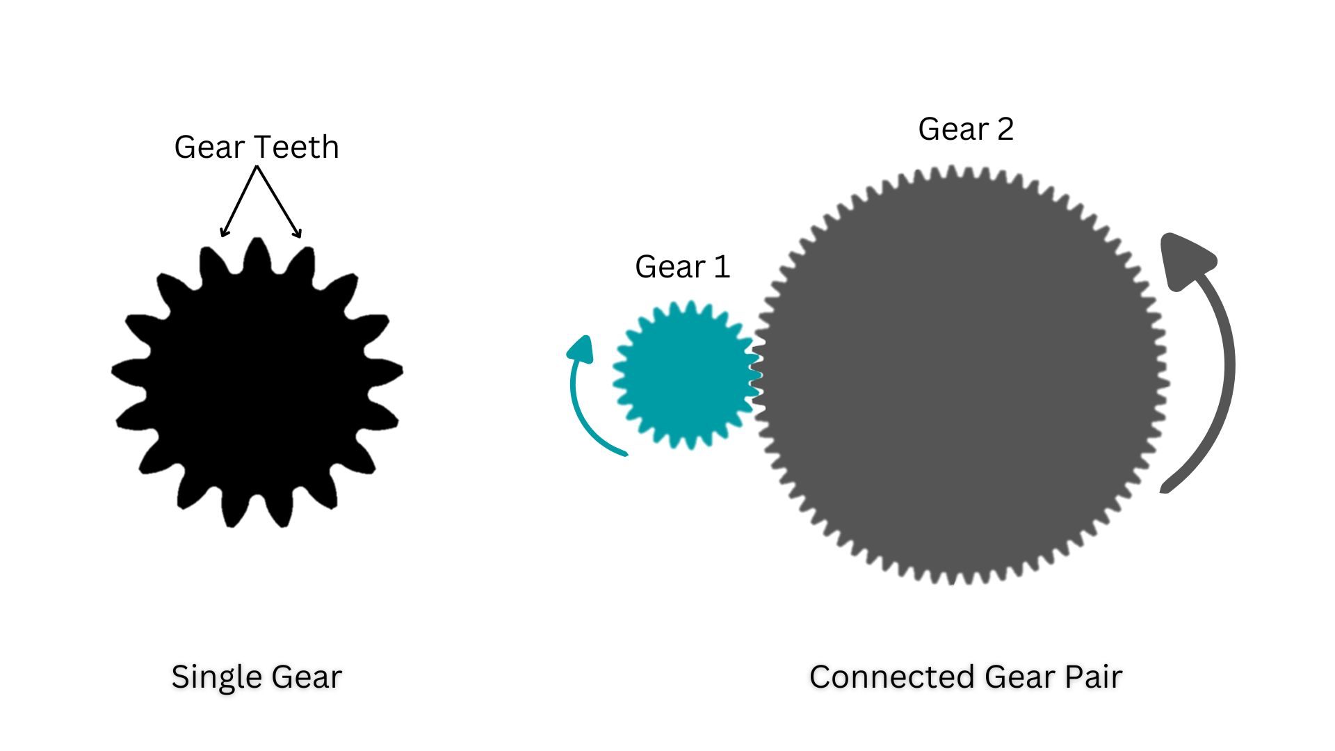 Gear Types Gear Types
