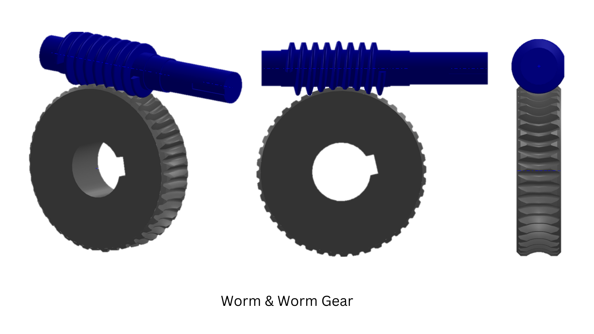 Worm Gear Worm Gear